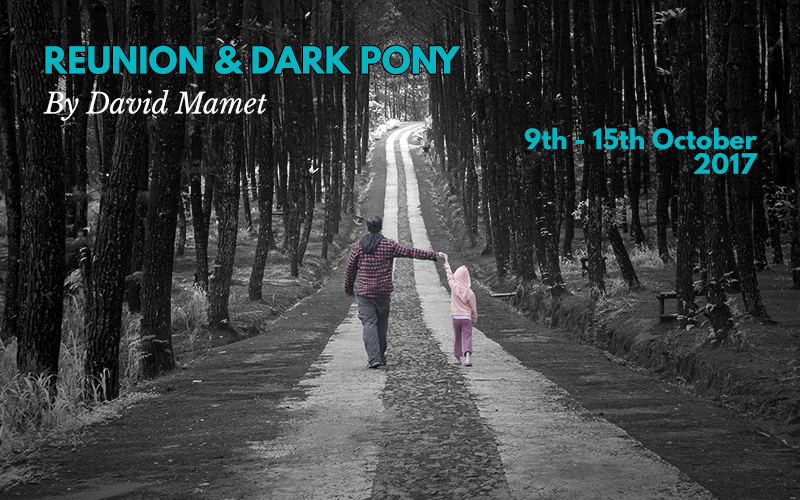 Reunion & Dark Pony by David Mamet